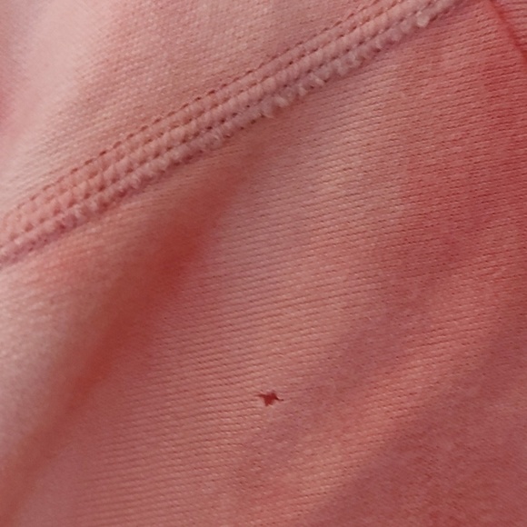 Smartwool Merino 250 Plant Based Dye Logo Hoodie Pink Size XS - Picture 9 of 10